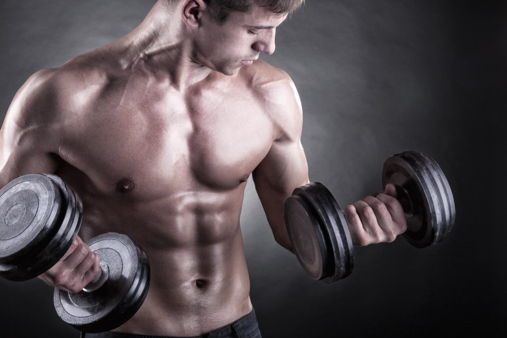 Bluee Health and fitness store Gym Equipment