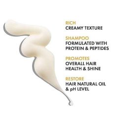 51wTxi6uu9L. SX522 1 Buy GK Hair Global Keratin Balancing Shampoo for Women with Oily Scalp - Sulfate and Paraben-Free