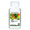 nutrilite daily multivitamin tablet 120 n tablets and colourful band combo 1 Nutrilite Cyber Breath Multivitamins and Multimineral Tablets -120 Tabs