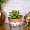 VON CASA Aloevera Artificial Potted Plant - Mandala Style