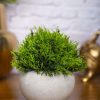 von casa green artificial potted plant stone finish VON CASA Green Artificial Potted Plant - Stone Finish