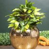 Decorative Modern Gold Metal Table Flower Pot Shape Vase for Festive Décor 1 decorative modern gold metal table flower pot shape vase for festive decor Decorative Modern Gold Metal Table Flower Pot Shape Vase for Festive Décor