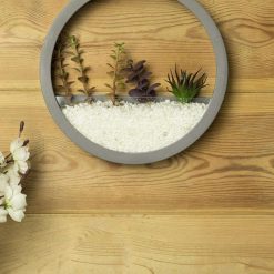 Elegant Round Transparent Wall Hanging Glass Terrarium