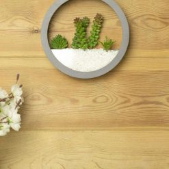 Elegant Round Transparent Wall Hanging Terrarium