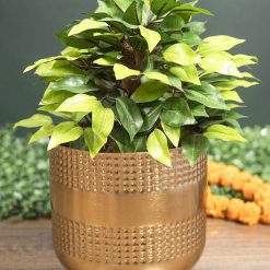 Indoor Golden Hammered Floor Planter