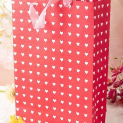 Large Valentine Gift Bag
