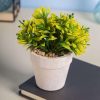 Decor Bonsai Bush Planter Pot 2 market99 decor bonsai bush planter pot Decor Bonsai Bush Planter Pot