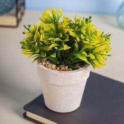 Decor Bonsai Bush Planter Pot