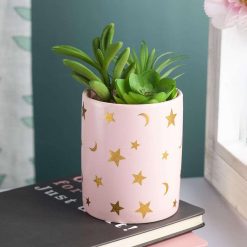 Fake Aloevera Planter Pot