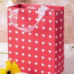 Medium Valentine Gift Bags