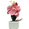 Orchid Flowers With Pink Pot 2 orchid flowers with pink pot Orchid Flowers With Pink Pot