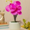 Purple Orchid With Ceramic White Pot