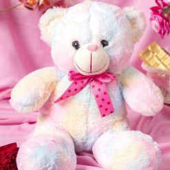 Rainbow Teddy Bear Valentine Gift
