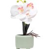 White Orchid Flowers With White Tumbler Pot 1 white orchid flowers with white tumbler pot White Orchid Flowers With White Tumbler Pot