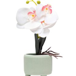 White Orchid Flowers With White Tumbler Pot