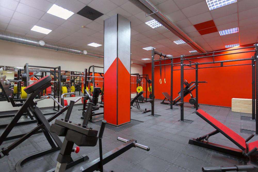 equipments gym Our Gym Setup Plan: Designing Your Fitness Oasis